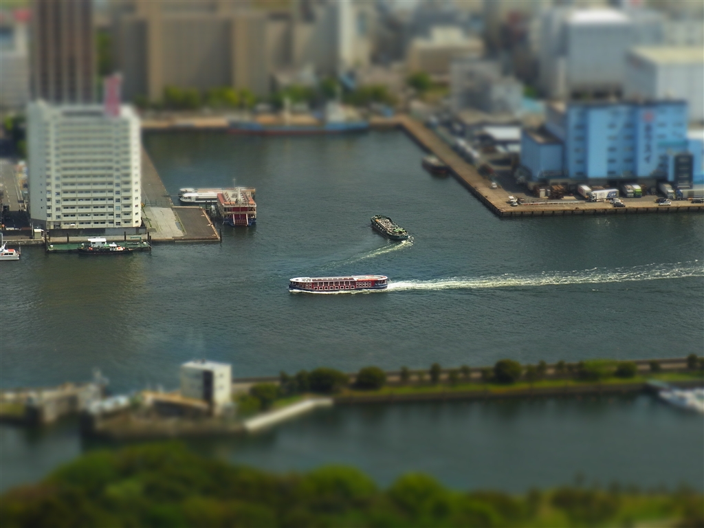 『ミニチュア楽し～。』リコー CX3 ギャッテイ・ギャッテイさん のクチコミ掲示板投稿画像・写真「付属ソフト「Irodio