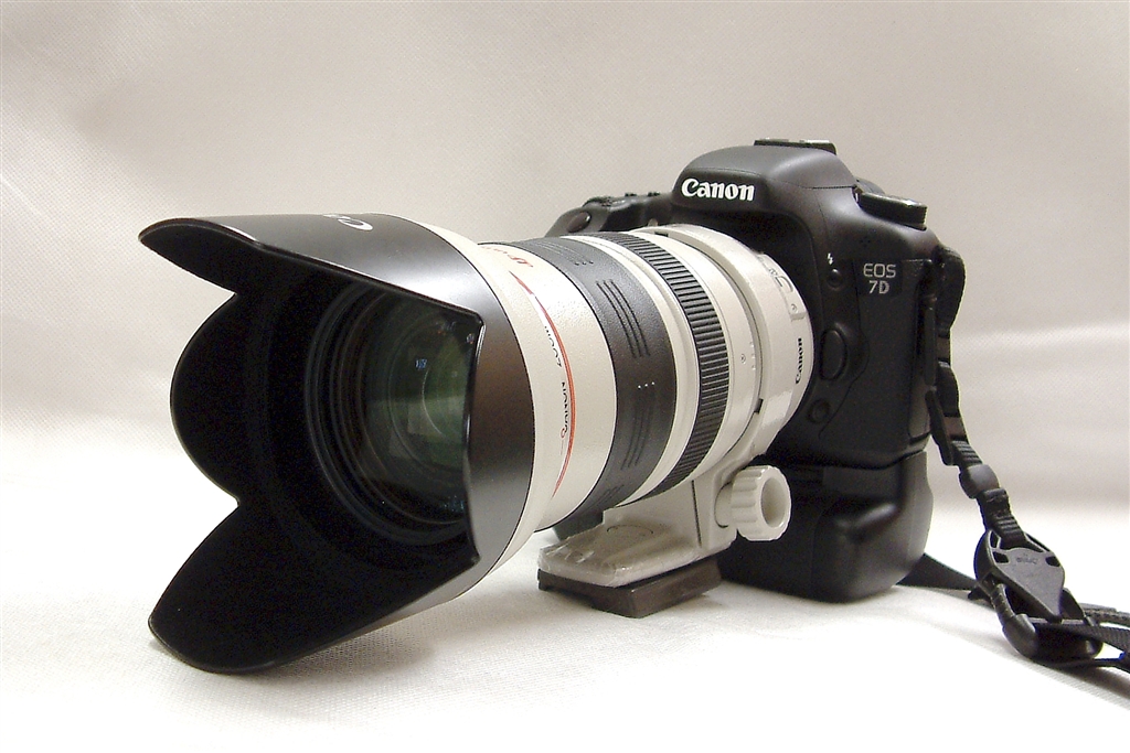 【高性能望遠】Canon EF 35-350mm F3.5-5.6 L USM