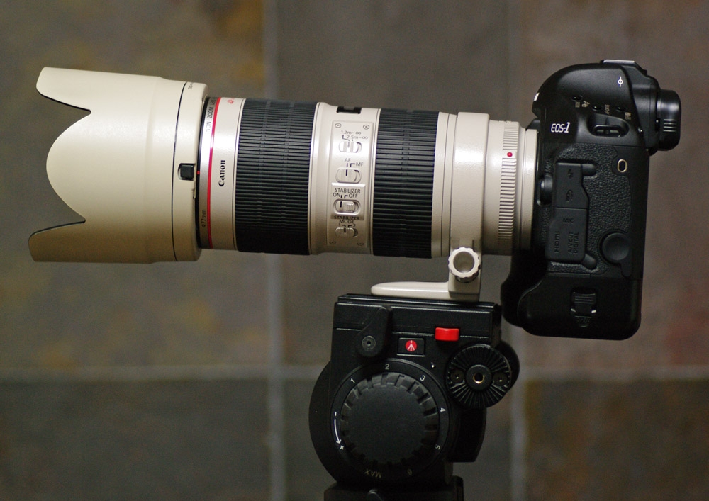 価格 Com Ef70 0mm F2 8l Is Usm Canon Ef70 0mm F2 8l Is Ii Usm G Erudaさん のクチコミ掲示板投稿画像 写真 Ii型専用のホワイトレンズフードが発売されましたね 9142