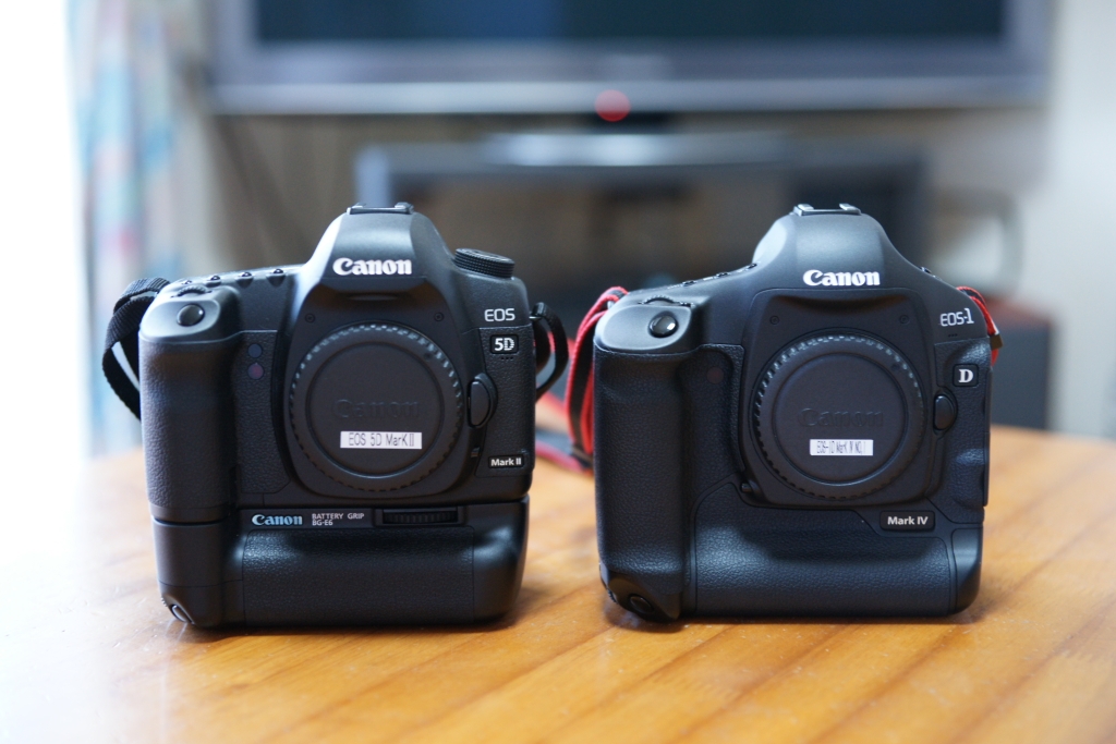 Canon eos 5d mark 4