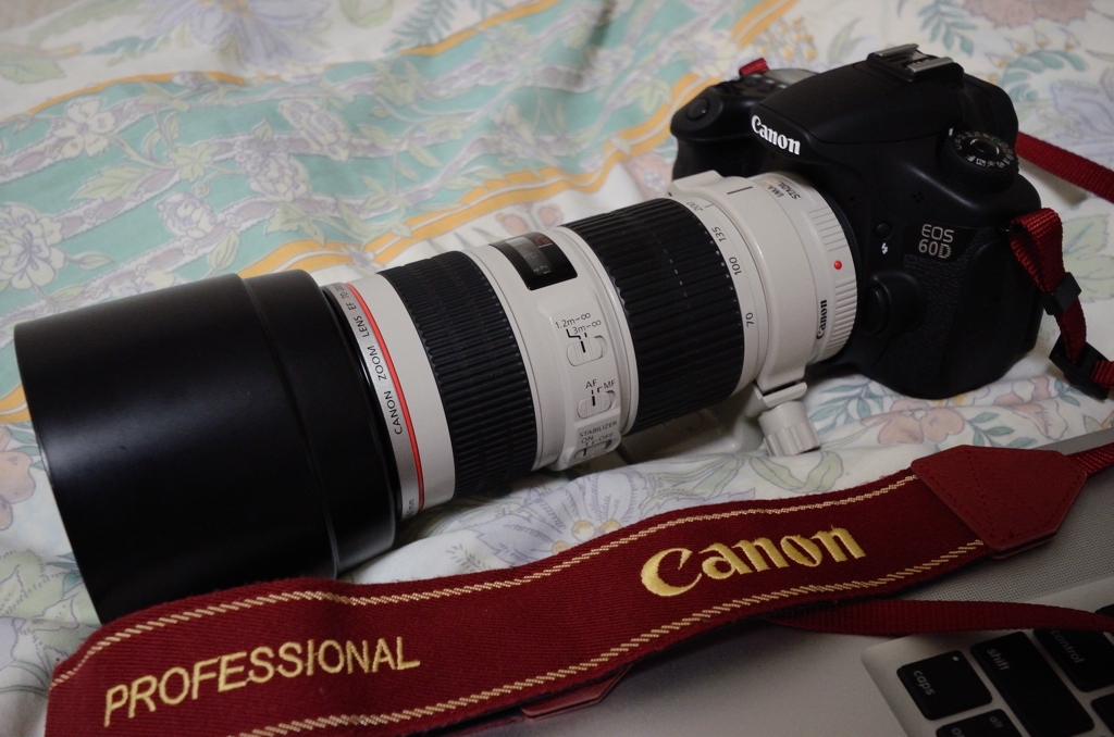 Canon EF70-200mm F4L IS USM 元箱・三脚座付 - レンズ(ズーム)