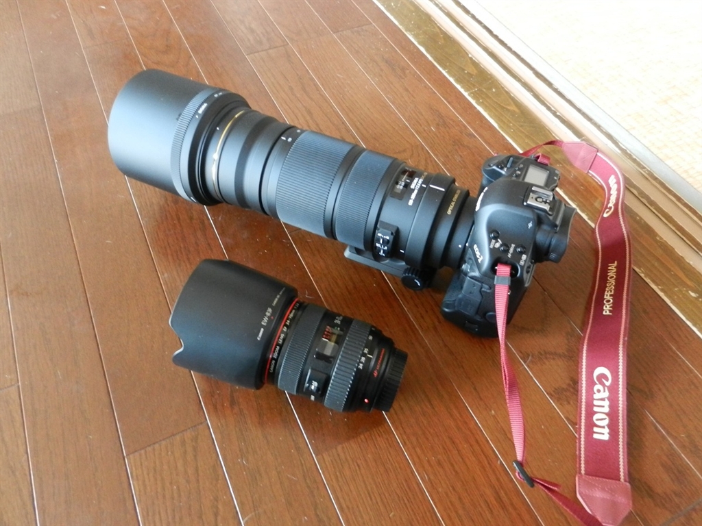 シグマ APO 120-300mm f2.8 EX DG OS HSM キヤノン 大切な - レンズ ...