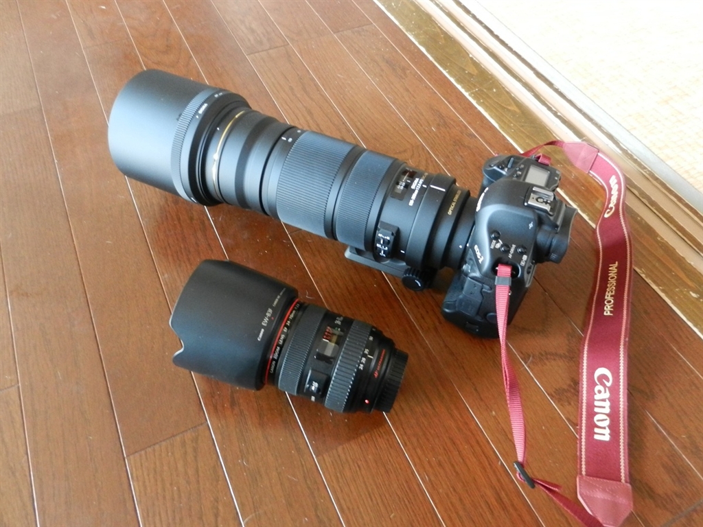 シグマ APO 120-300mm f2.8 EX DG OS HSM キヤノン 【メーカー直送 