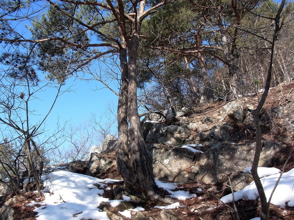 Ricoh Wg6 Rentio Press