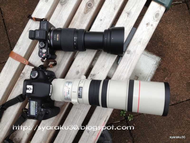 価格.com - 『7D＋EF400との比較』パナソニック LUMIX G VARIO 100-300mm/F4.0-5.6/MEGA O.I.S.  H-FS100300 ひかり屋本舗さん のクチコミ掲示板投稿画像・写真「購入しました」[1142122]