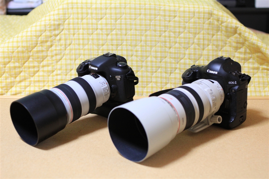  canon ef70 300mm f4 5 6l is usm 7e7 