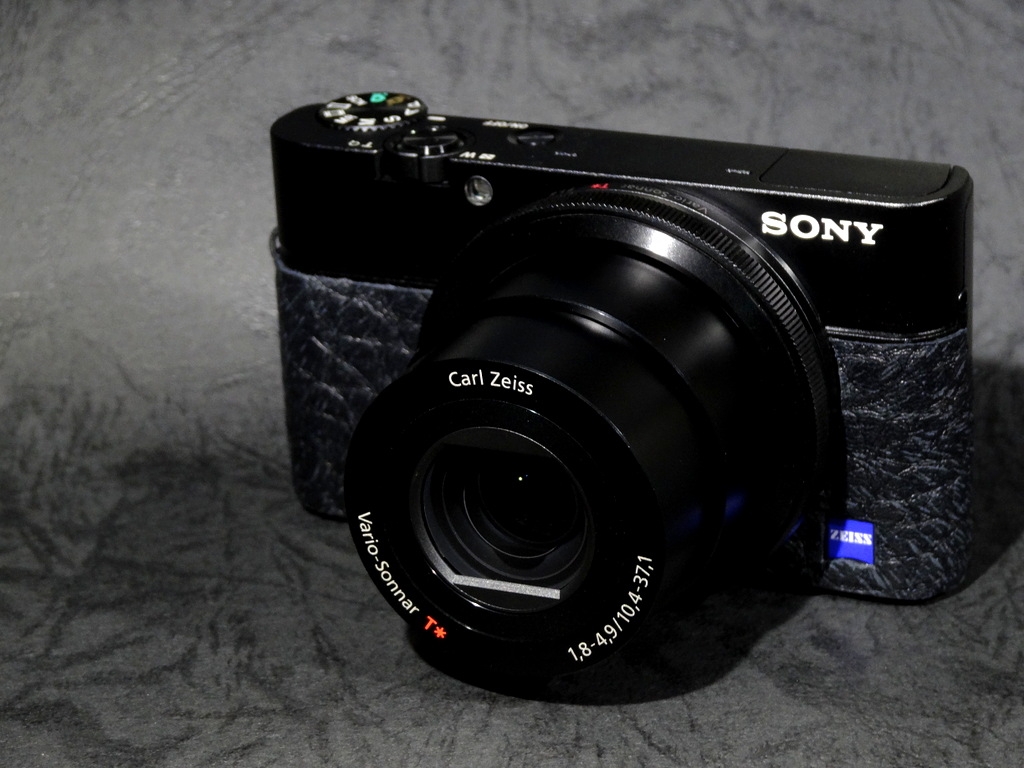 SONY - ☆SONY RX10 実用動作品の+colegiosantamariaeufrasia.cl