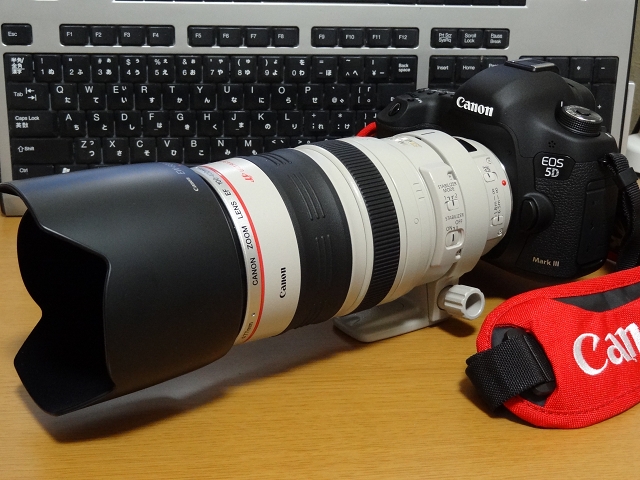 Canon EF100-400F4.5-5.6L IS USM+rallysantafesinooficial.com