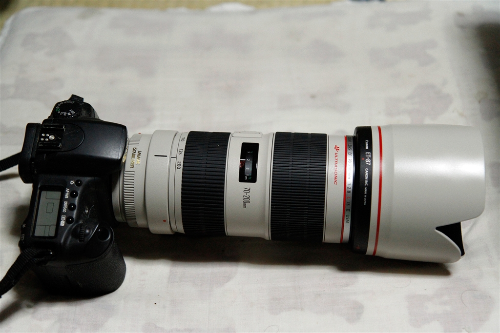 価格 Com フードを取り付けた状態 Canon Ef70 0mm F2 8l Is Ii Usm Datyuraさん のクチコミ掲示板投稿画像 写真 白フード