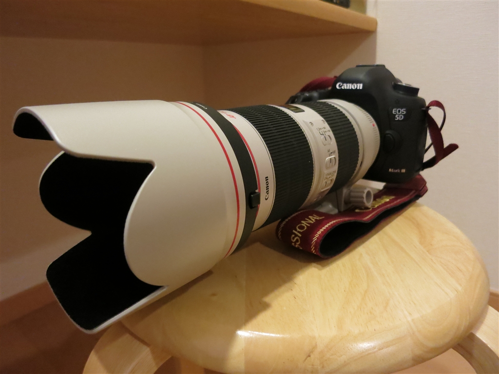 価格 Com 白フードがベストマッチング Canon Ef70 0mm F2 8l Is Ii Usm Hanepapaさん のクチコミ掲示板投稿画像 写真 所有欲