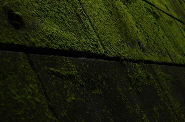 写真作例 色いろいろ３０ クチコミ掲示板 価格 Com