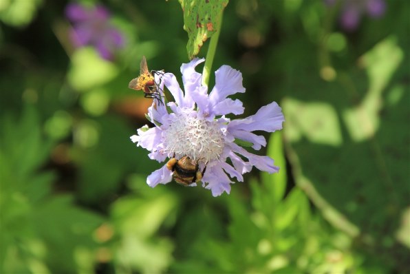 Eos全機種 みんなで写真を見せあおう Part23 クチコミ掲示板 価格 Com