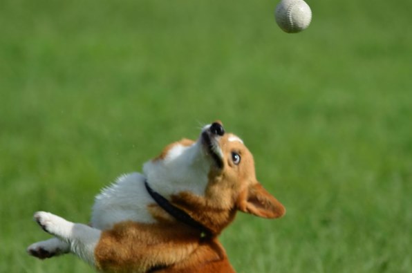 Part68です 秋よ来い クチコミ掲示板 価格 Com Part68です 秋よ来い クチコミ掲示板 価格 Com