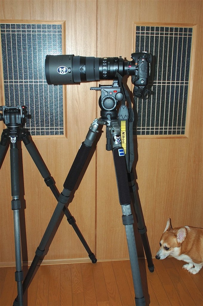 ニコン 交換用レンズ ニコンｆマウント Af S 200 500mm F 5 6e Ed Vr ケーズデンキ Paypayモール店 通販 Paypayモール