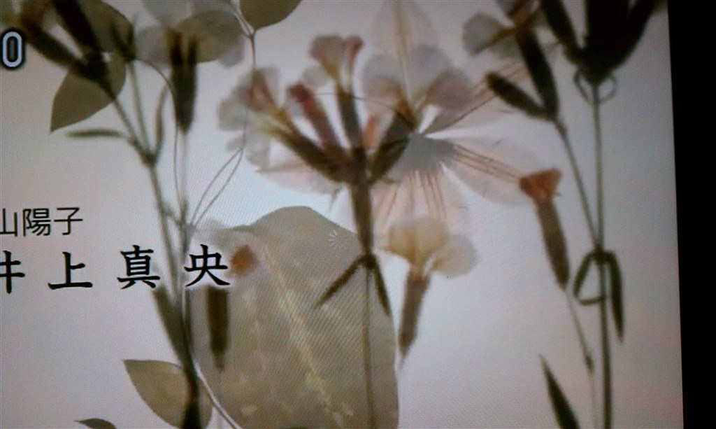 テレビをみることは可能ですか Apple Ipad 2 Wi Fiモデル 64gb のクチコミ掲示板 価格 Com テレビをみることは可能ですか Apple Ipad 2 Wi Fiモデル 64gb のクチコミ掲示板 価格 Com