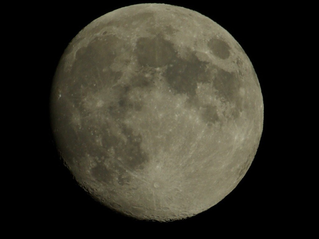 DG化前のAPO170mm～500mmレンズの作例』 シグマ APO 170-500mm F5-6.3