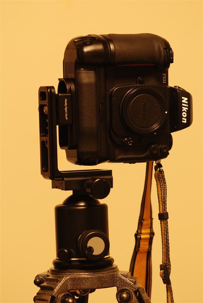 カタログが欲しいのですが。。。』 CANON EOS-1V HS ボディ のクチコミ 