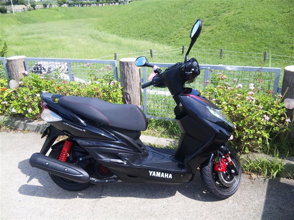 決まりました。 シグナスx 125 キャブ車 懐かしめ