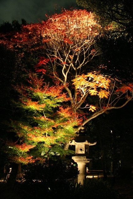 50Dで撮影した結果』 CANON EOS 50D ボディ のクチコミ掲示板