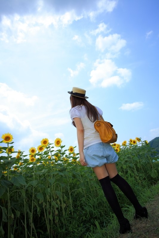 【作例有】Canon EF 17-40mm F4  USMレンズ 広角レンズ L 超広角ならこれ買っとけ！EF17-40mm F4L USM | ろべPhoto