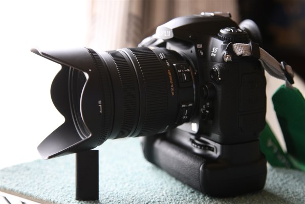 シグマ 17-70mm F2.8-4 DC MACRO OS HSM (ニコン用)投稿画像 シグマ 17-70mm F2.8-4 DC MACRO OS HSM (ニコン用)投稿画像