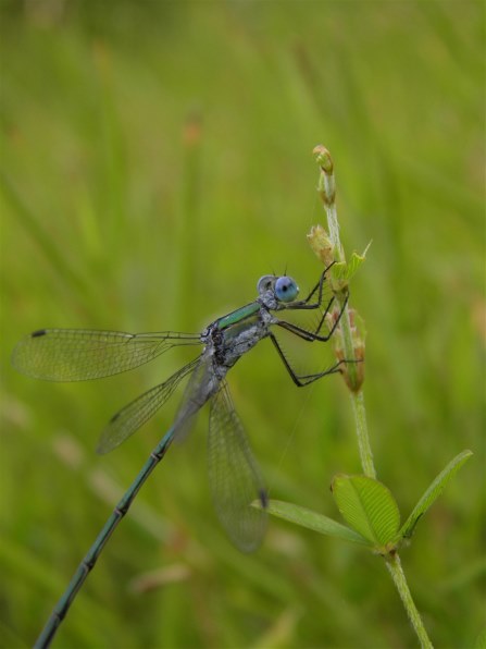 オリンパス SP-800UZ投稿画像・動画 - 価格.com