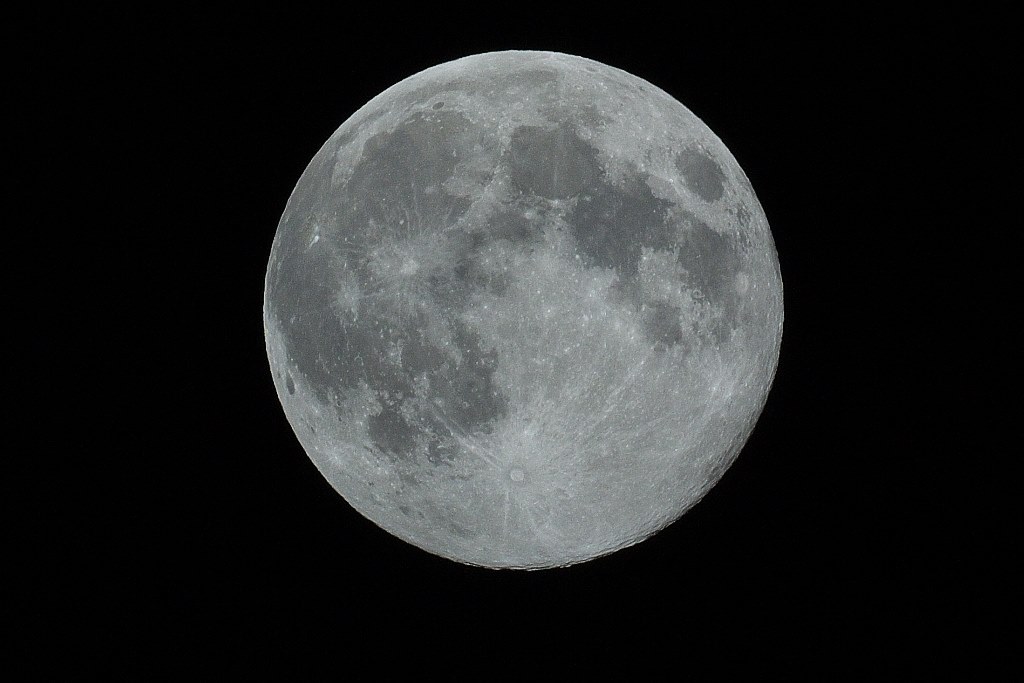 紅葉も残す❤️Canon Kiss X5✨望遠＆標準レンズ✨️届いてすぐ