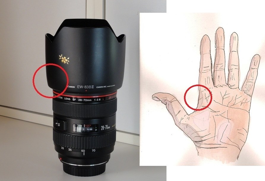 フードの取り付け位置』 CANON EF24-70mm F2.8L II USM のクチコミ