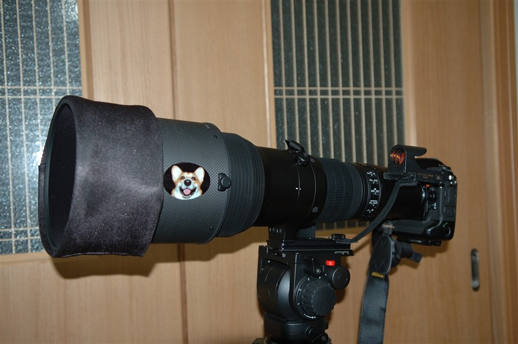 どちらがいいのか』 ニコン AF-S NIKKOR 600mm f/4G ED VR の