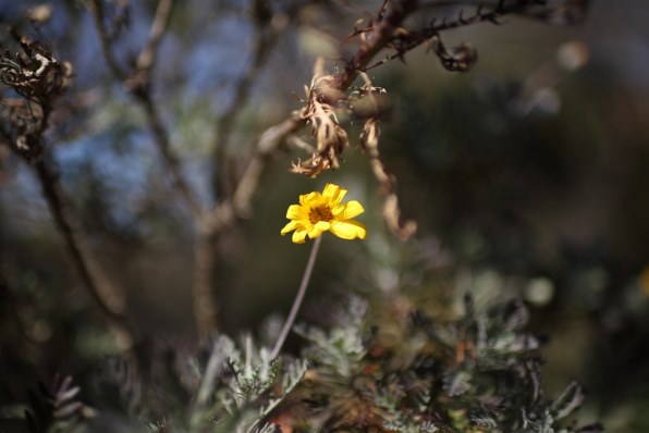 Part85です もっと春を呼びたいぞ クチコミ掲示板 価格 Com