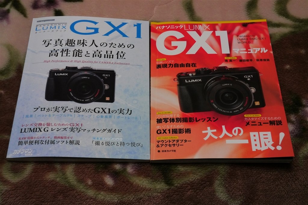 Panasonic LUMIX DMC-GX1 レンズキット