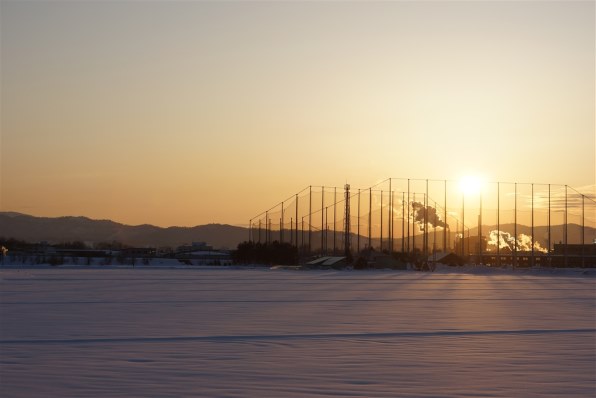 逆光の作例です』 SONY E 50mm F1.8 OSS SEL50F18 のクチコミ掲示板