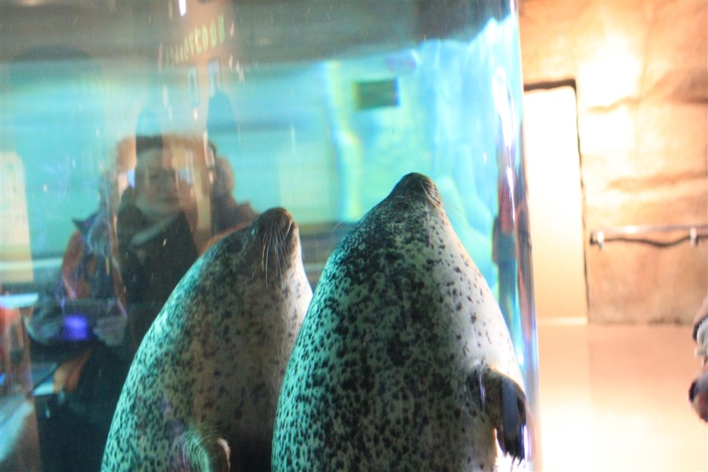 EOS60D の作例 旭山動物園 （冬季）』 CANON EOS 60D ダブルズーム