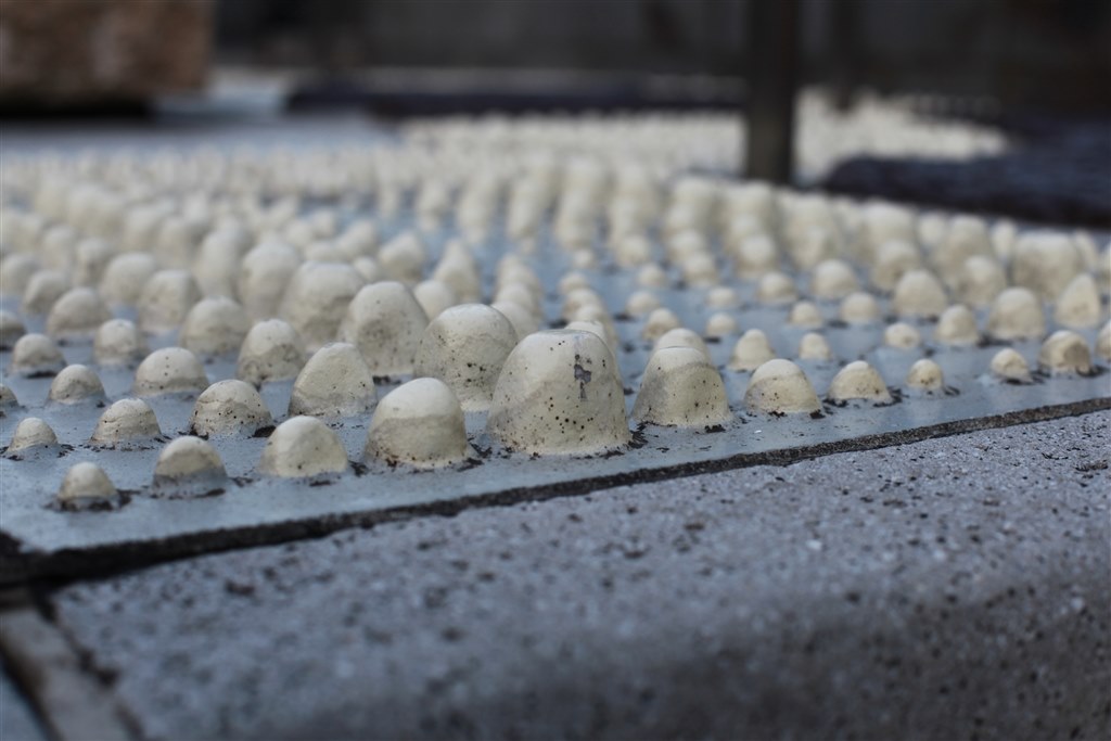 雰囲気、ボケ重視のポートレート撮影をしたい』 CANON EF50mm F1.8 II