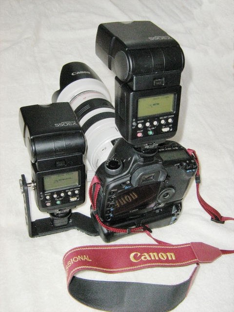 Amazon.com : Canon EOS 5D Mark II Full Frame DSLR Camera