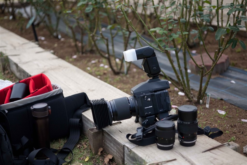 マウント変更可能か、教えて』 シグマ SD1 Merrill 17-50mm F2.8 EX DC
