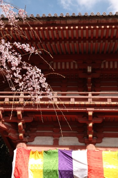 Part91です 桜も散ったし 何撮ろうかな クチコミ掲示板 価格 Com