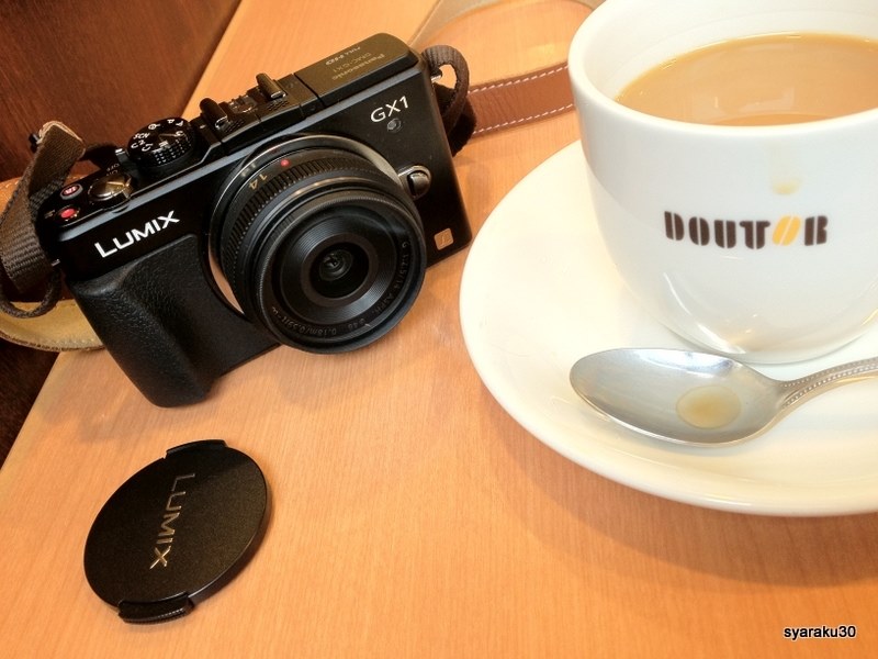 LUMIX GX1　レンズ　ビューファインダー パナのミラーレス機GX1持ってるなら必携！？のライブビュー