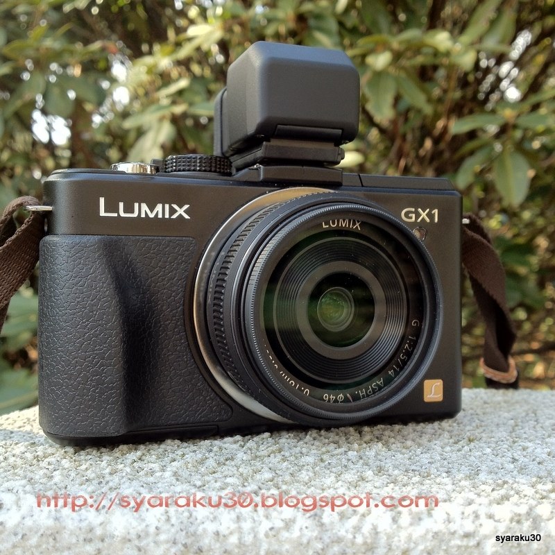 ライブビューファインダー』 パナソニック LUMIX DMC-GX1X