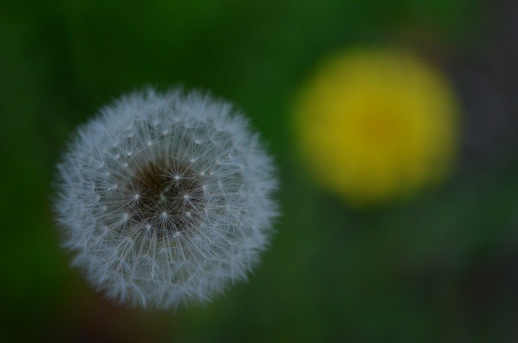 2416万画素のメリット』 ニコン D3200 ボディ のクチコミ掲示板