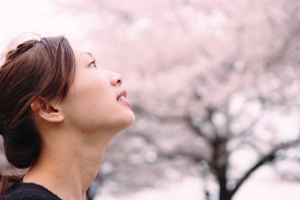明るく美しいボケ】 Nikon AF 50mm F1.4D AI AF Nikkor 50mm f/1.4D