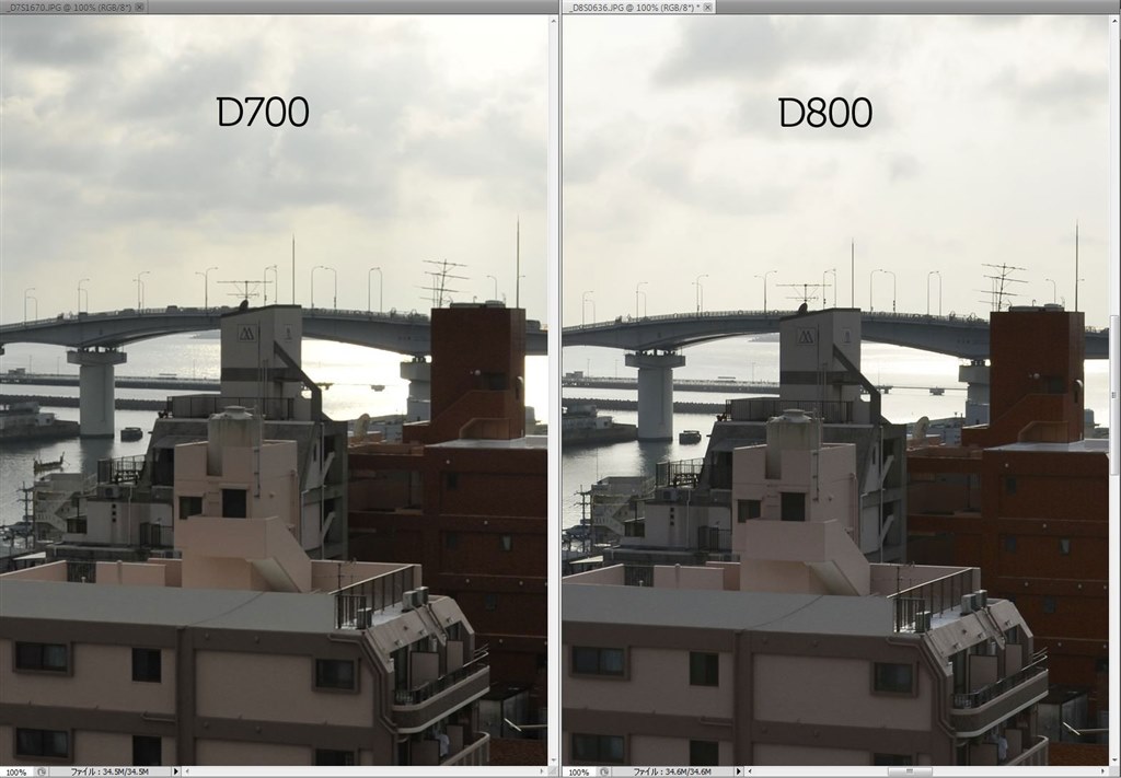 【訳あり】Nikon D800 デジタル一眼レフ ボディ 作例あり 71sjcs3kdfL._AC_UF350,