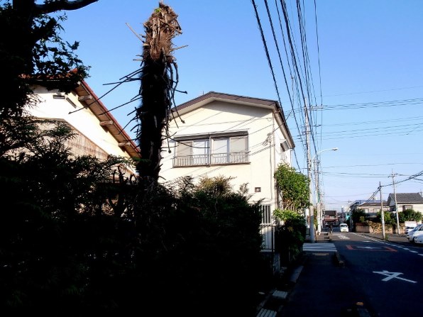 オリンパス OLYMPUS VR-320で撮影された写真 - 価格.com