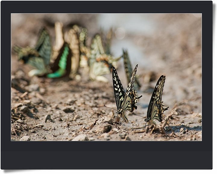 悩んでいます・・・』 富士フイルム FinePix HS30EXR のクチコミ掲示板