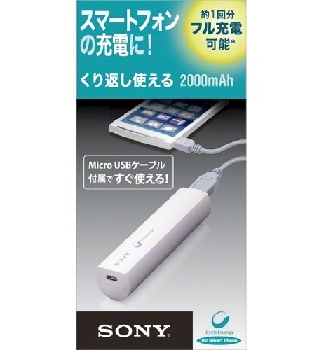 JVC Everio GZ-V590-S [プレシャスシルバー]投稿画像・動画