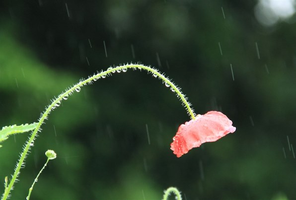 ももがき水辺盗撮 