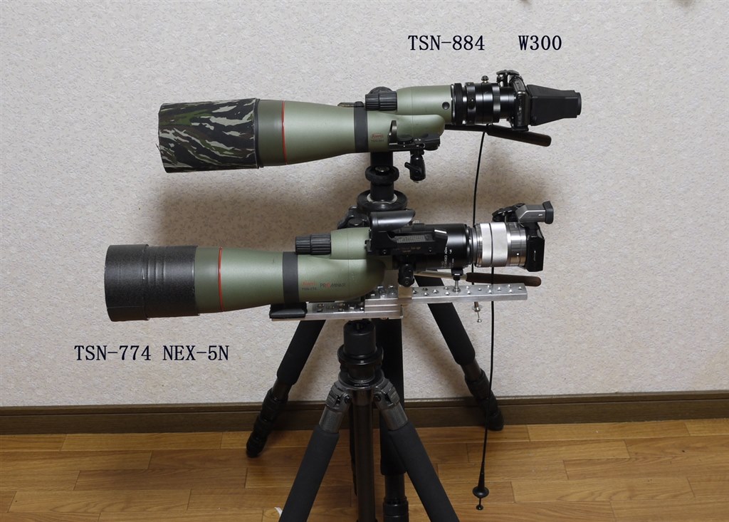 スコープ KOWA TSN-884 ＋ GITZO三脚（デジスコでも使えそうです 