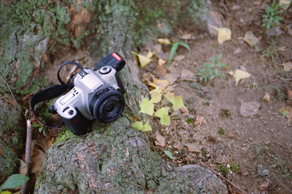 フィルムのKissで使いました』 CANON EF40mm F2.8 STM のクチコミ