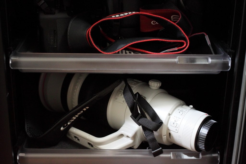 ついにゴーヨンがやって来ました。』 CANON EF500mm F4L IS II USM の