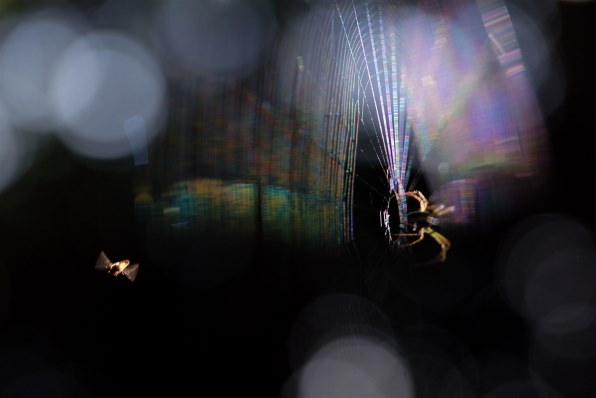 みなさんpart2 ｄ２００を使いましょ ニコン D0 ボディ のクチコミ掲示板 価格 Com